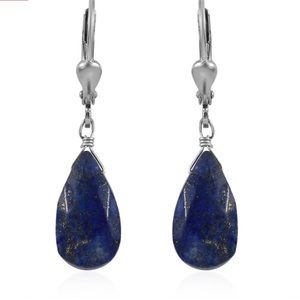 Elegant Blue Drop Earrings